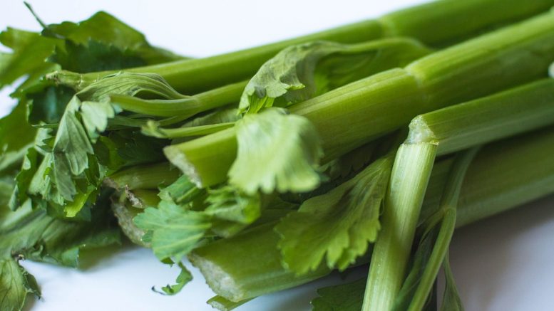 How to grow pesticide-free organic celery